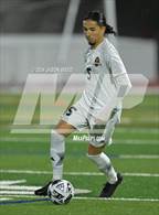 Photo from the gallery "James Logan @ California"