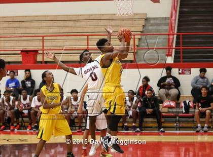 Thumbnail 3 in Madison @ Cedar Hill photogallery.
