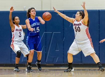 Thumbnail 2 in Brandeis @ Jay photogallery.
