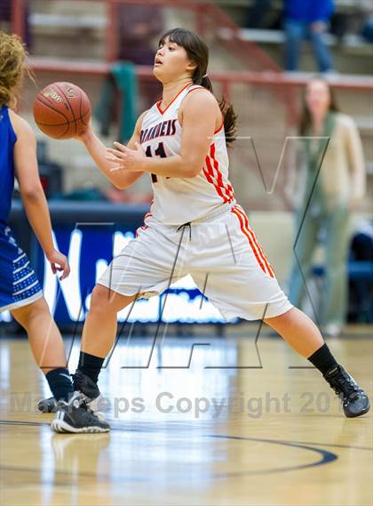 Thumbnail 1 in Brandeis @ Jay photogallery.