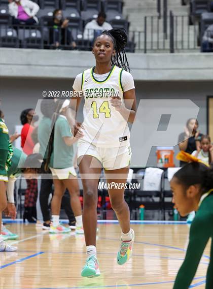 Thumbnail 1 in DeSoto vs. Lake Ridge (UIL 6A Quarterfinals) photogallery.