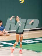 Photo from the gallery "Tracy @ Emerald"