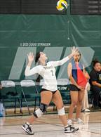 Photo from the gallery "Tracy @ Emerald"