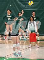 Photo from the gallery "Tracy @ Emerald"