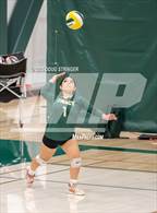 Photo from the gallery "Tracy @ Emerald"