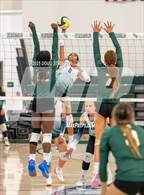 Photo from the gallery "Tracy @ Emerald"