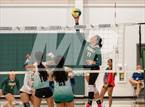 Photo from the gallery "Tracy @ Emerald"