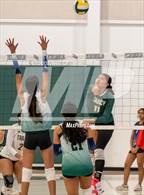 Photo from the gallery "Tracy @ Emerald"