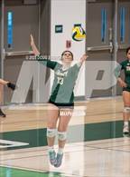 Photo from the gallery "Tracy @ Emerald"
