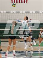 Photo from the gallery "Tracy @ Emerald"