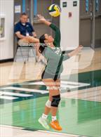 Photo from the gallery "Tracy @ Emerald"