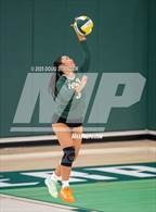 Photo from the gallery "Tracy @ Emerald"