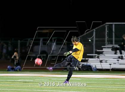 Thumbnail 1 in Gilbert vs. Hamilton (AIA D1 Final) photogallery.