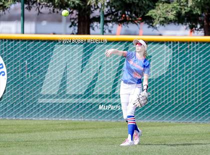 Thumbnail 2 in Redwood vs. Buchanan photogallery.
