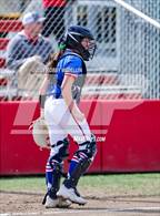 Photo from the gallery "Redwood vs. Buchanan"