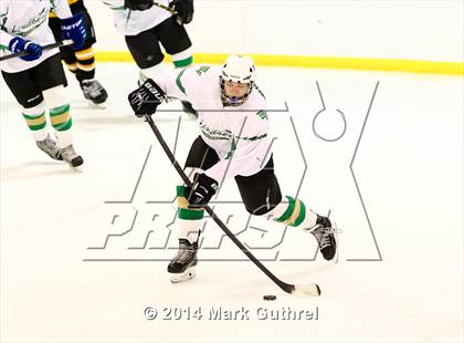 Thumbnail 1 in Lindbergh vs. Oakville photogallery.