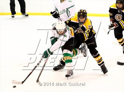 Thumbnail 1 in Lindbergh vs. Oakville photogallery.