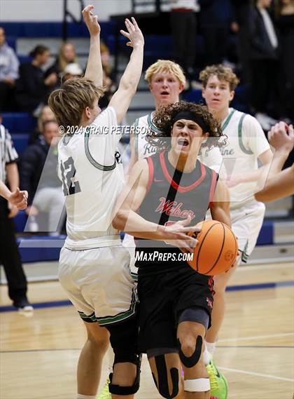 Thumbnail 1 in Weber @ Ridgeline photogallery.