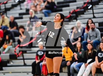 Thumbnail 1 in Littleton vs Pomona photogallery.
