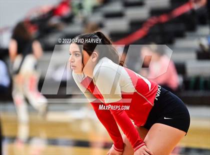 Thumbnail 1 in Littleton vs Pomona photogallery.