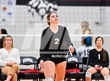 Thumbnail 2 in Littleton vs Pomona photogallery.