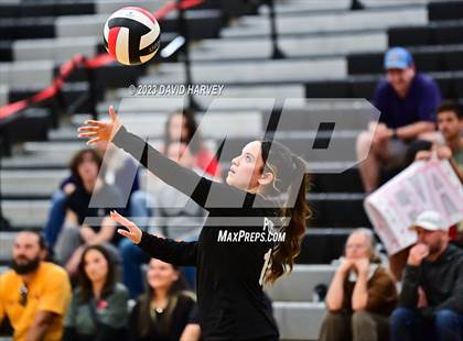 Thumbnail 1 in Littleton vs Pomona photogallery.
