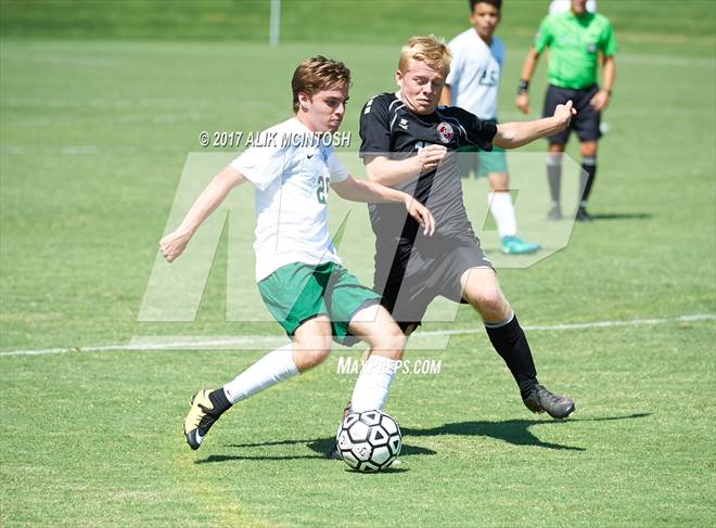 null - Photo 21
