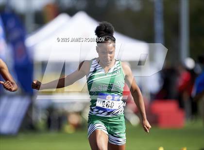 Thumbnail 1 in Bob Hayes Invitational (100m) photogallery.