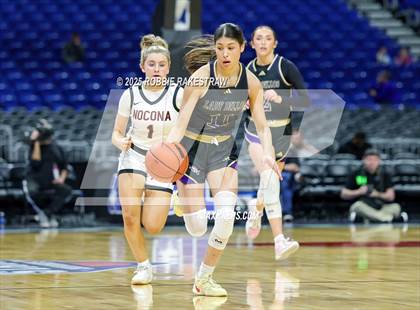Thumbnail 1 in Nocona vs. San Saba (UIL 2A Basketball Division I Final) photogallery.