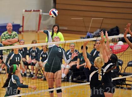 Thumbnail 1 in Bishop Shanahan vs. Strath Haven (PIAA Class AAA 1st Round) photogallery.