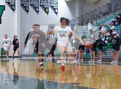 Thumbnail 1 in Palo Verde vs Las Vegas photogallery.