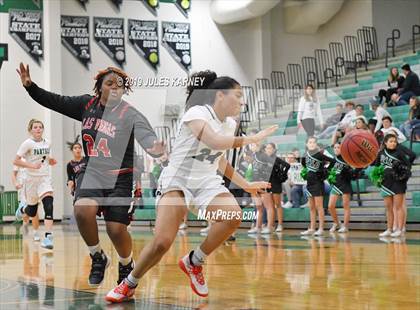 Thumbnail 2 in Palo Verde vs Las Vegas photogallery.