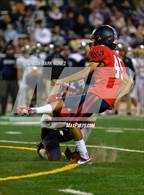 Photo from the gallery "Elk Grove @ Pleasant Grove"