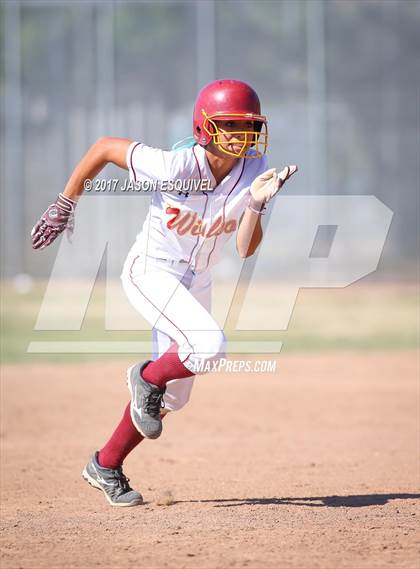Thumbnail 1 in Wilson vs. Santa Paula (CIF SS D6 Playoff) photogallery.