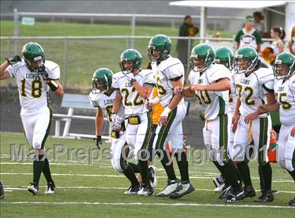 Thumbnail 3 in Borah @ Meridian photogallery.
