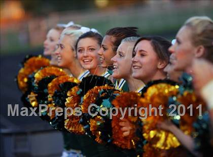 Thumbnail 3 in Borah @ Meridian photogallery.
