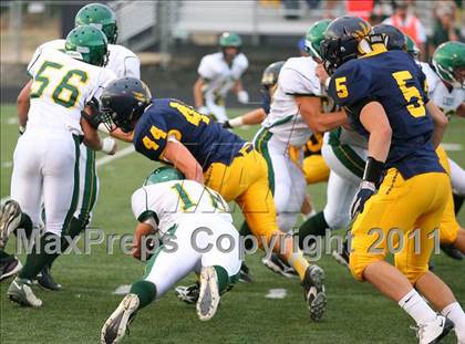 Thumbnail 1 in Borah @ Meridian photogallery.