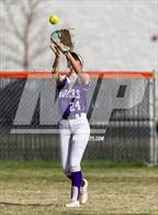 Photo from the gallery "Spanish Springs @ Douglas"