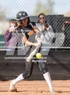Photo from the gallery "Spanish Springs @ Douglas"