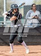 Photo from the gallery "Spanish Springs @ Douglas"