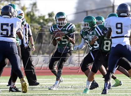 Thumbnail 1 in Inderkum @ El Cerrito photogallery.