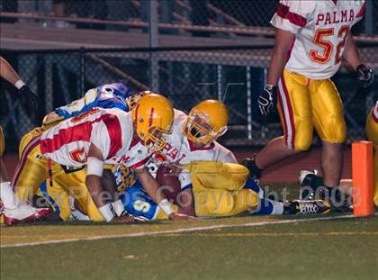 Thumbnail 1 in Palma @ Oak Grove (CIF CCS Open Division Playoffs) photogallery.