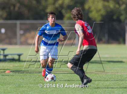 Thumbnail 1 in McClatchy @ Davis photogallery.