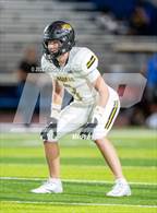 Photo from the gallery "Saguaro @ Mountain View"