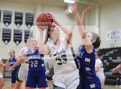 Thumbnail 2 in Danville vs Fisher Catholic (OHSAA D4 District Semifinal) photogallery.