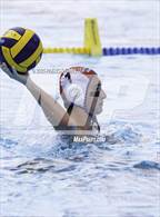 Photo from the gallery "Harlan @ O'Connor"