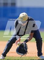 Photo from the gallery "Pinecrest @ Laney"