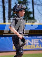 Photo from the gallery "Pinecrest @ Laney"