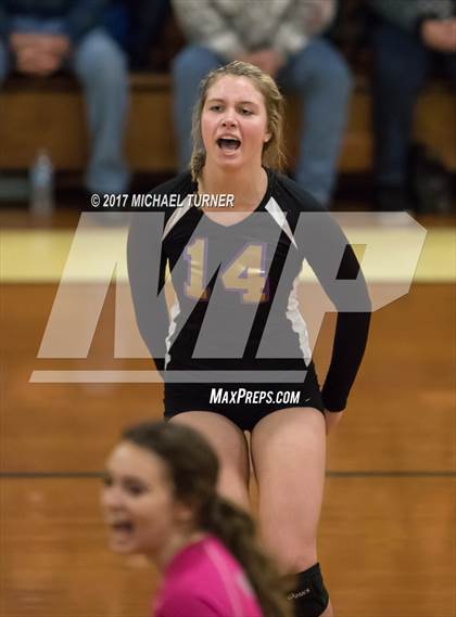 Thumbnail 1 in Willows vs. West Valley (NSCIF D4 Final) photogallery.