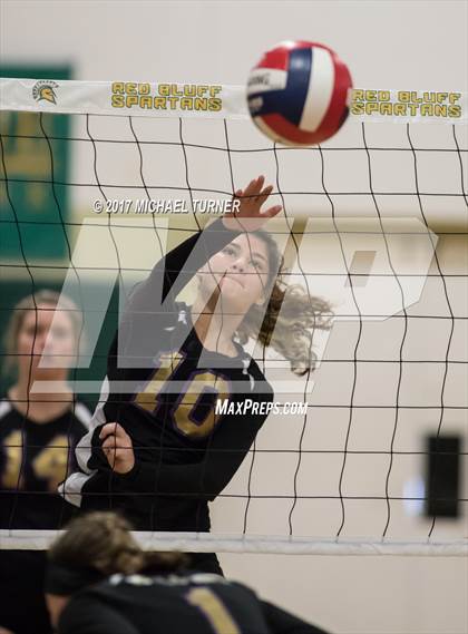 Thumbnail 1 in Willows vs. West Valley (NSCIF D4 Final) photogallery.
